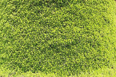 《最终幻想7：重制版过渡版》无D加密 PC版诚意不足